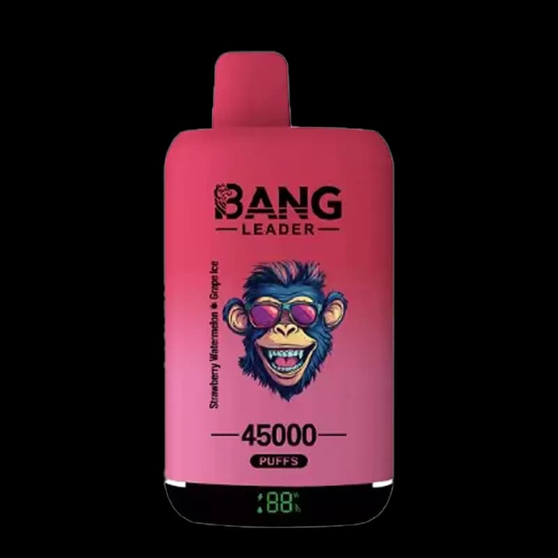 Bang Leader 45000 Puffs – Vape