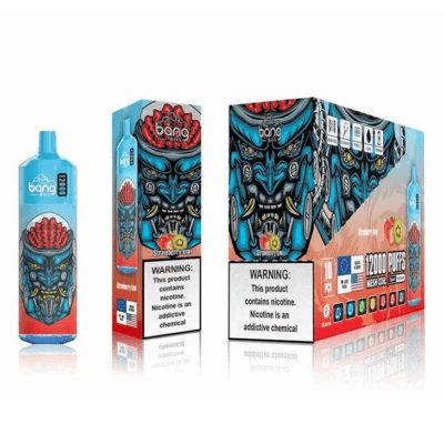 BANG Box 12000
