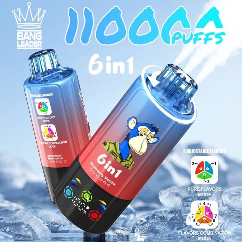 Use 110k BANG LEADER 110000 Puffs Vape 6 in 1 Flavors
