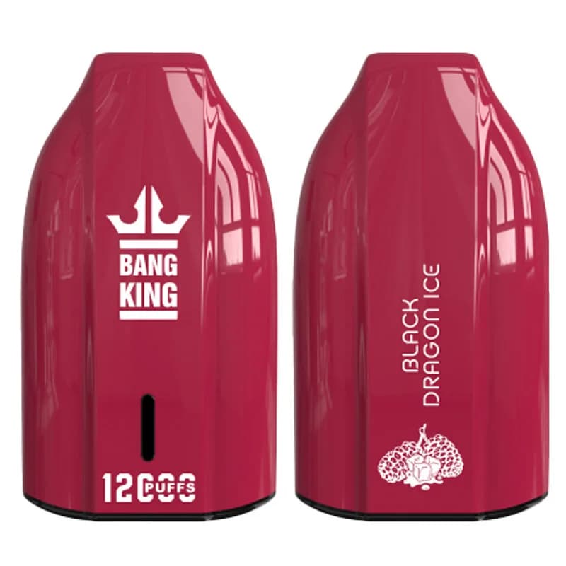Use 12k Bang King 12000 Puffs Vape