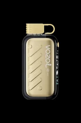 EU Warehouse vs China Direct Shipping: Pros & Cons for Vape Wholesalers