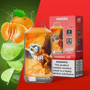 Use 40k Fizzy Nova Plus 40000 Puffs Vape LCD Screen EU Warehouse